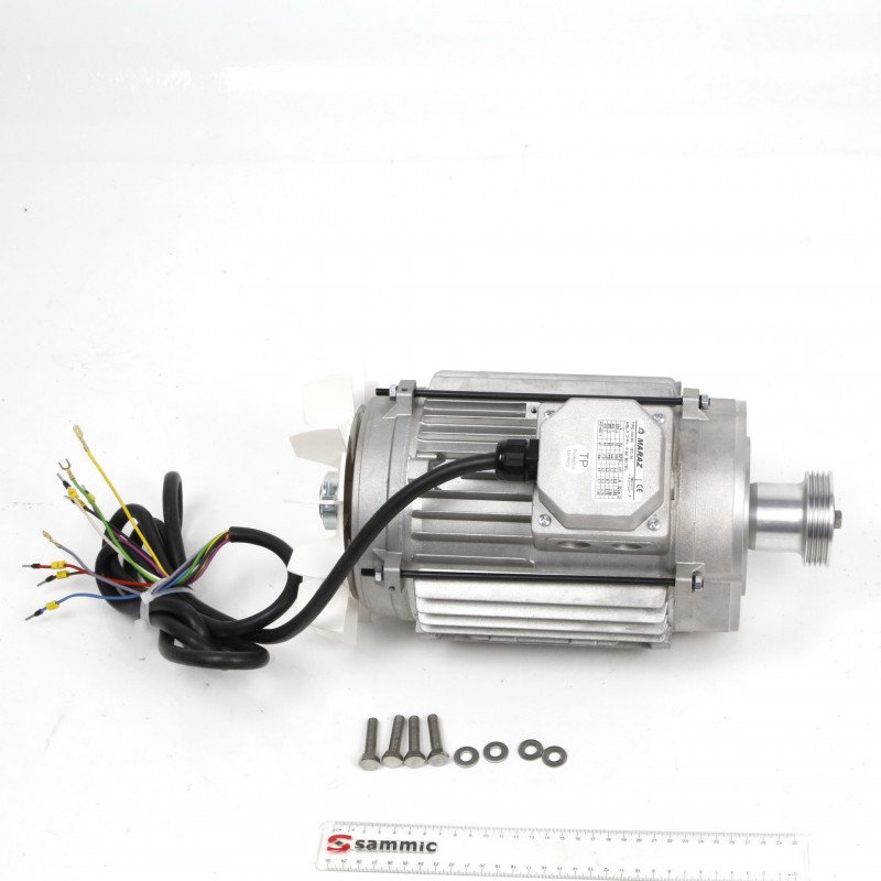 Motor+ polea TRX-21 (conj.)