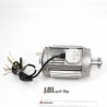 Motor + polea TRX-21 (conx.)