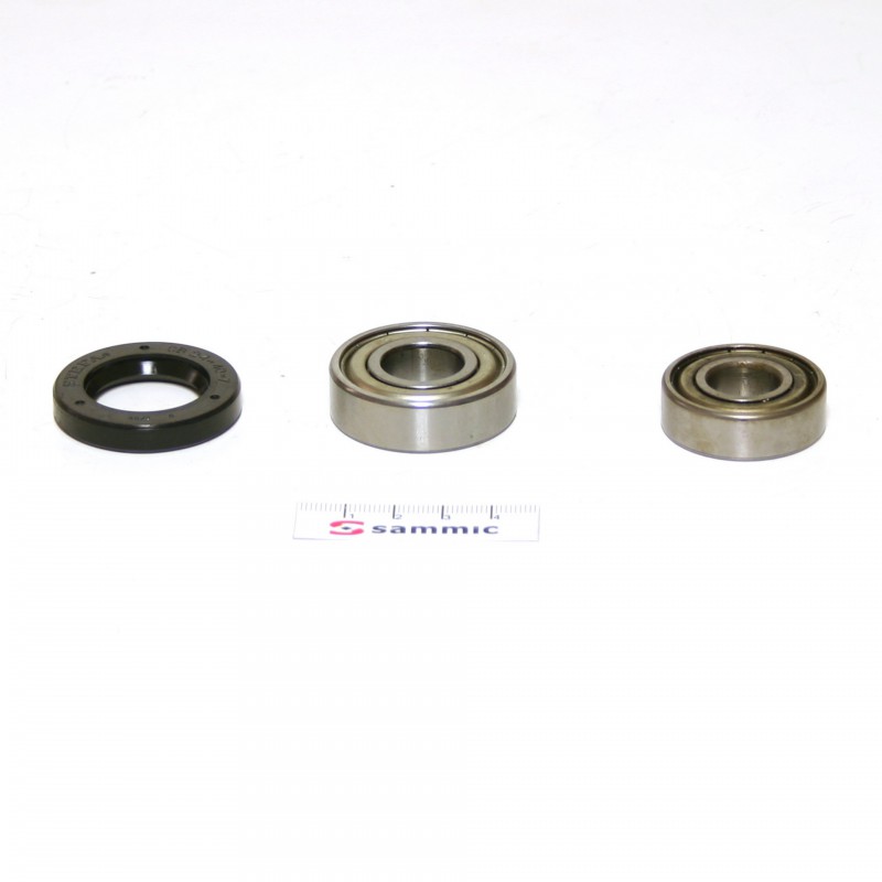 Rodamento + retén motor P-22 (conx.)