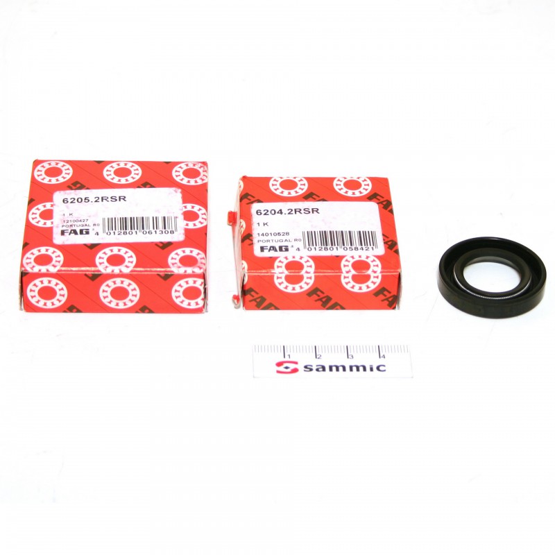Rodamento motor P-32 (2000) (conx.)