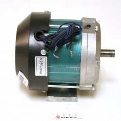 Motor GCP-300 230V/50Hz/1~