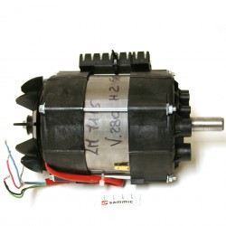 Motor (conj.)