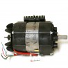 Motor (conx.)