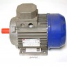 Motor elev. cabezal AE-62 - 220V/50Hz/3~