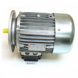 Motor trifásico AE-22 -...