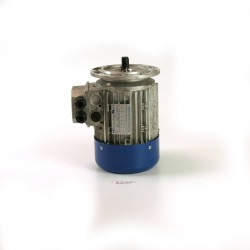 Motor LE-25 - 400V-230V/50Hz/3~