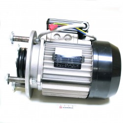 Motor FMI-31, FMI-41 -...