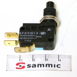 Microrruptor SM-10