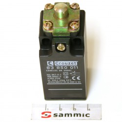 Microrruptor SME-33/40/50