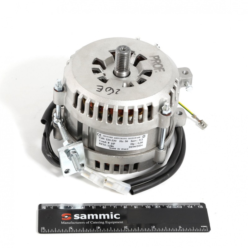 Motor GSM-250/275