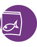 Conservación e Sous-Vide